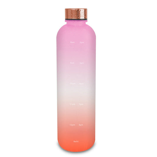 Pink Frosted Gradient Water Bottle