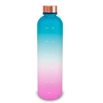 Frosted Gradient Water Bottle